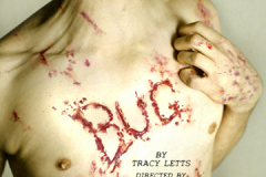 BUG-2009-3