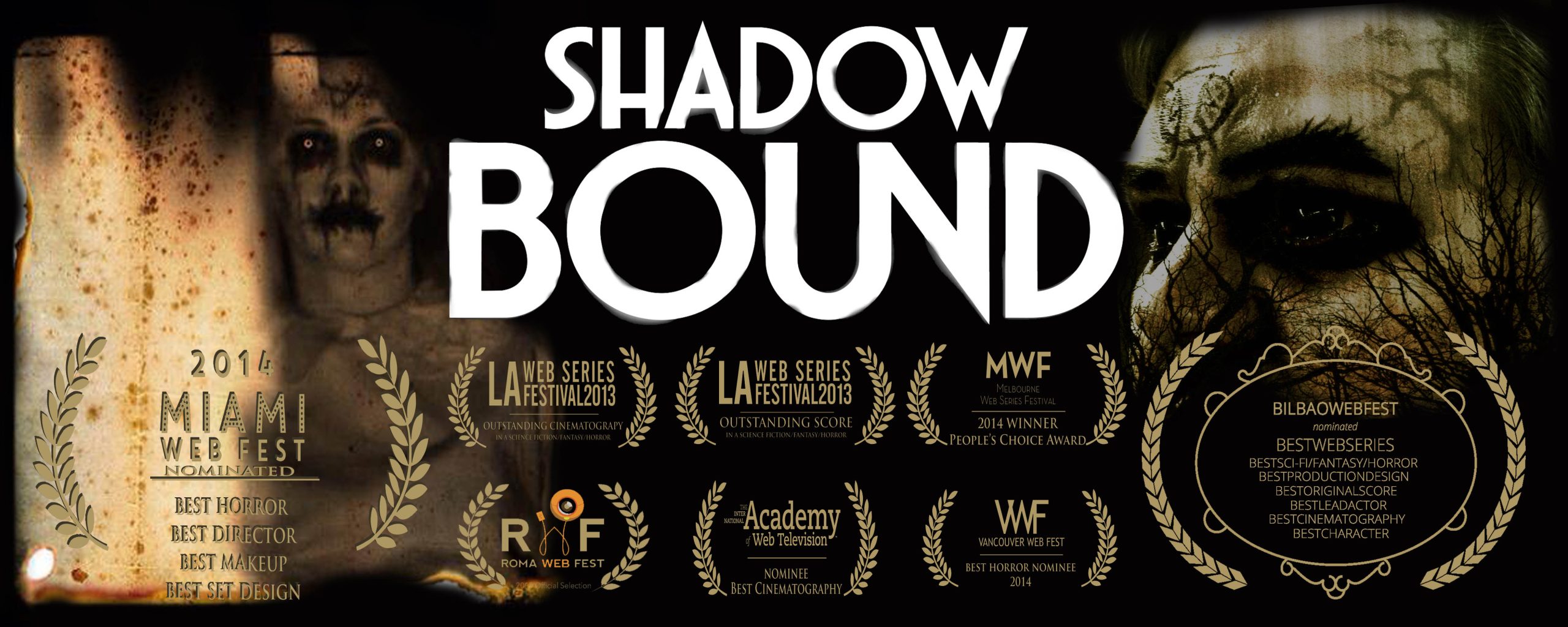 Shadow Bound Series AWARDS BANNER