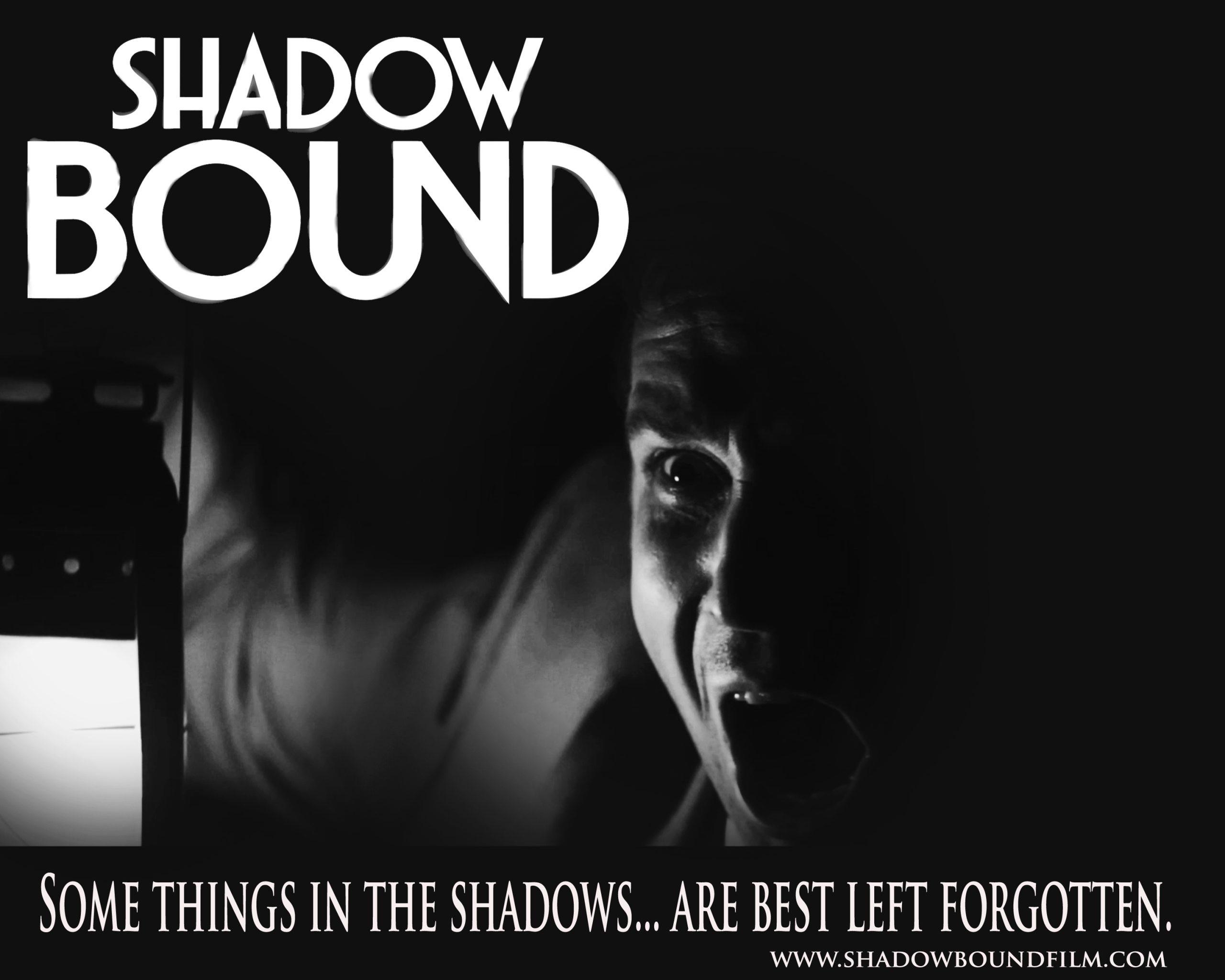 Shadow Bound PROMO 10