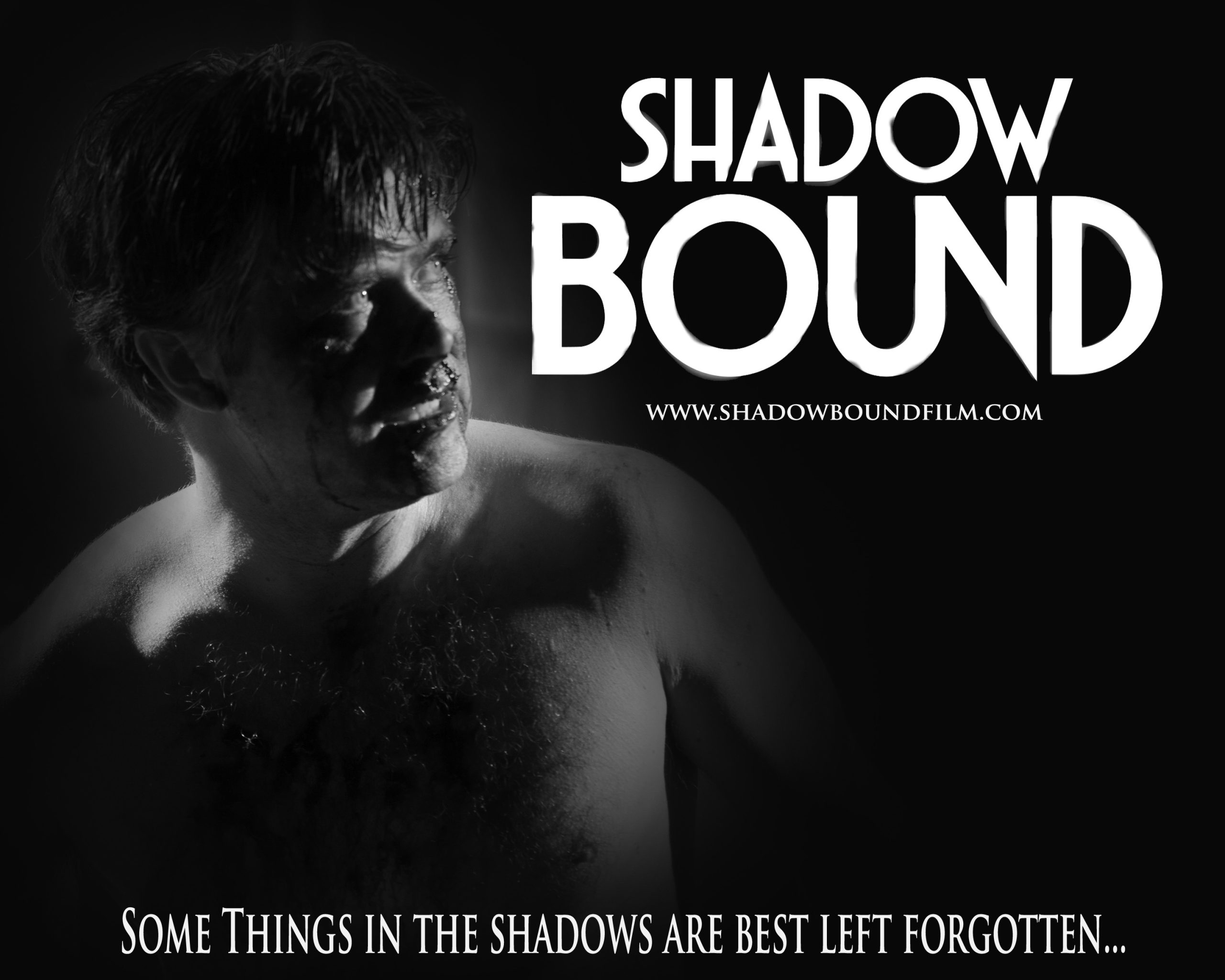 Shadow Bound PROMO 16